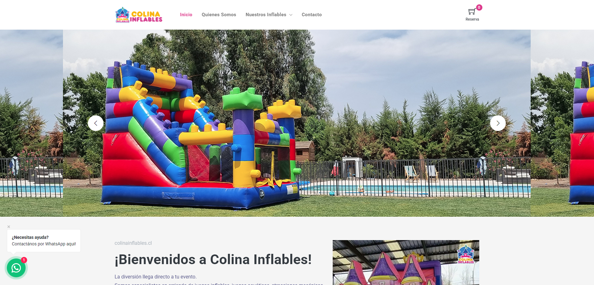 Vista del proyecto Colinainflables.cl