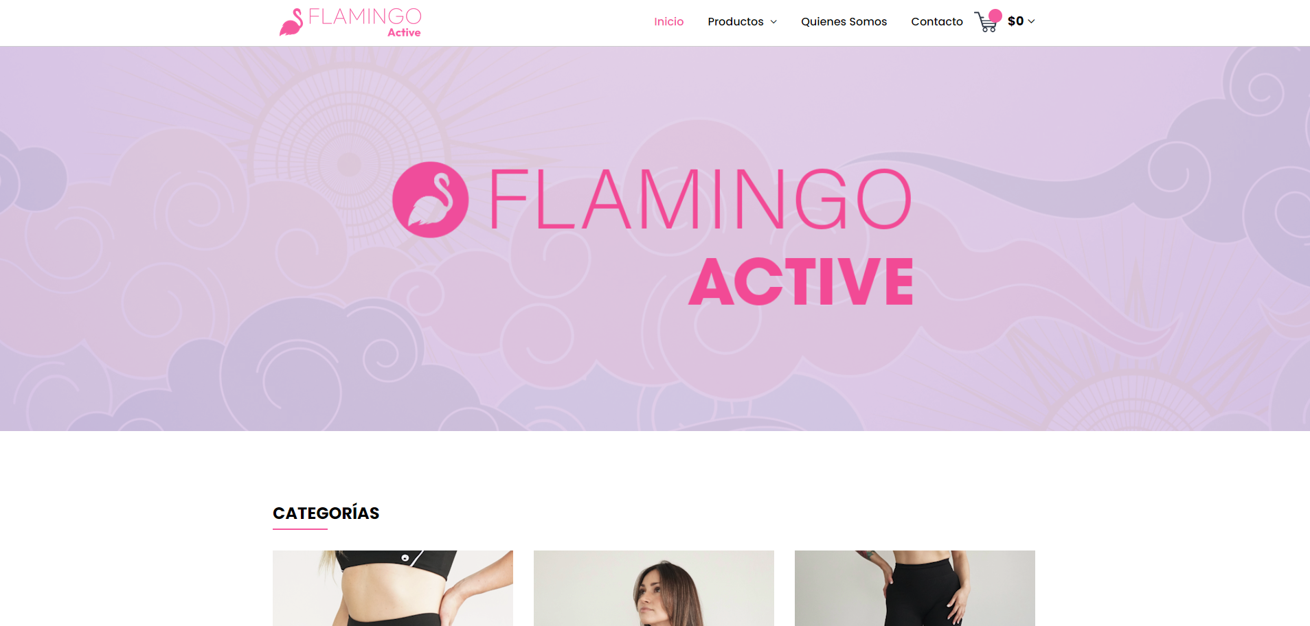 Vista del proyecto Flamingoactive.cl